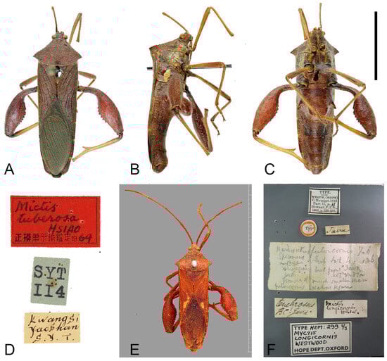 Insects 16 01099 g008