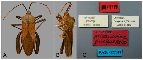 Insects 16 01099 g009