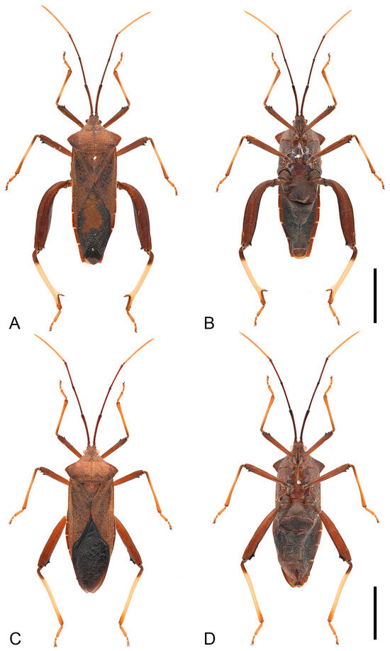 Insects 16 01099 g010