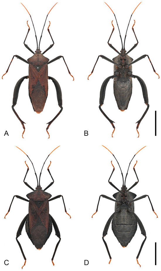 Insects 16 01099 g011