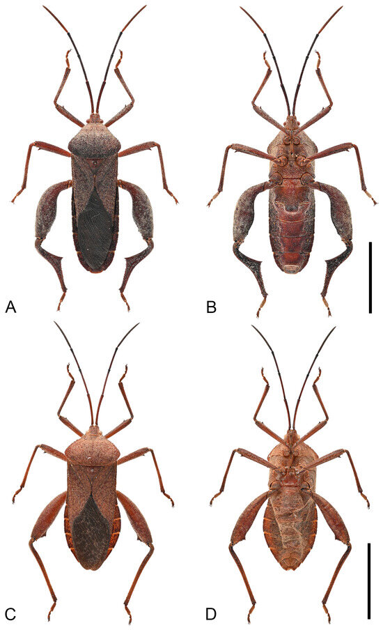 Insects 16 01099 g012