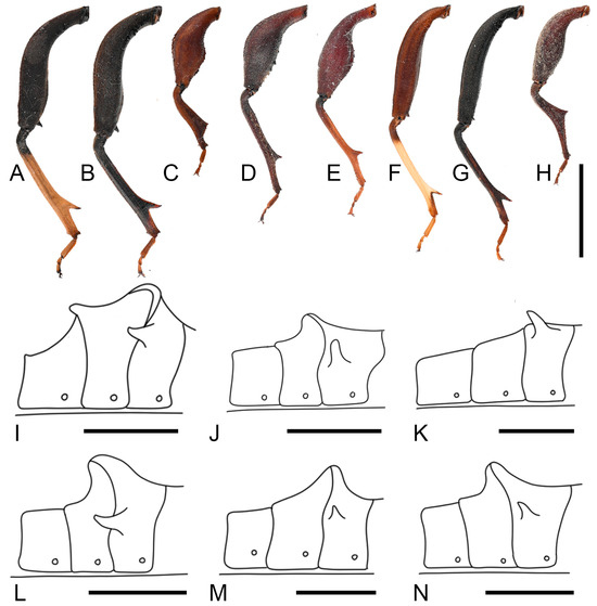 Insects 16 01099 g013