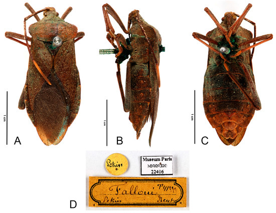 Insects 16 01099 g014