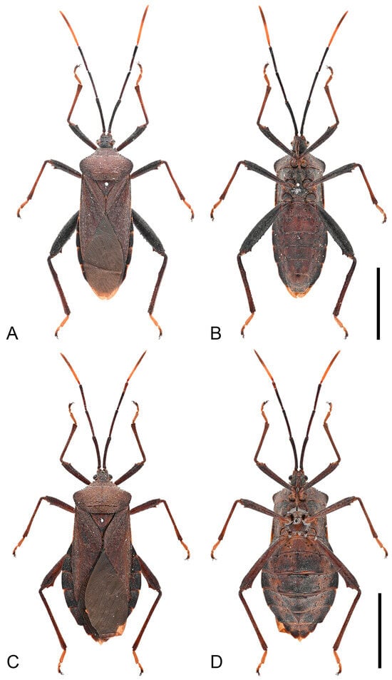 Insects 16 01099 g015