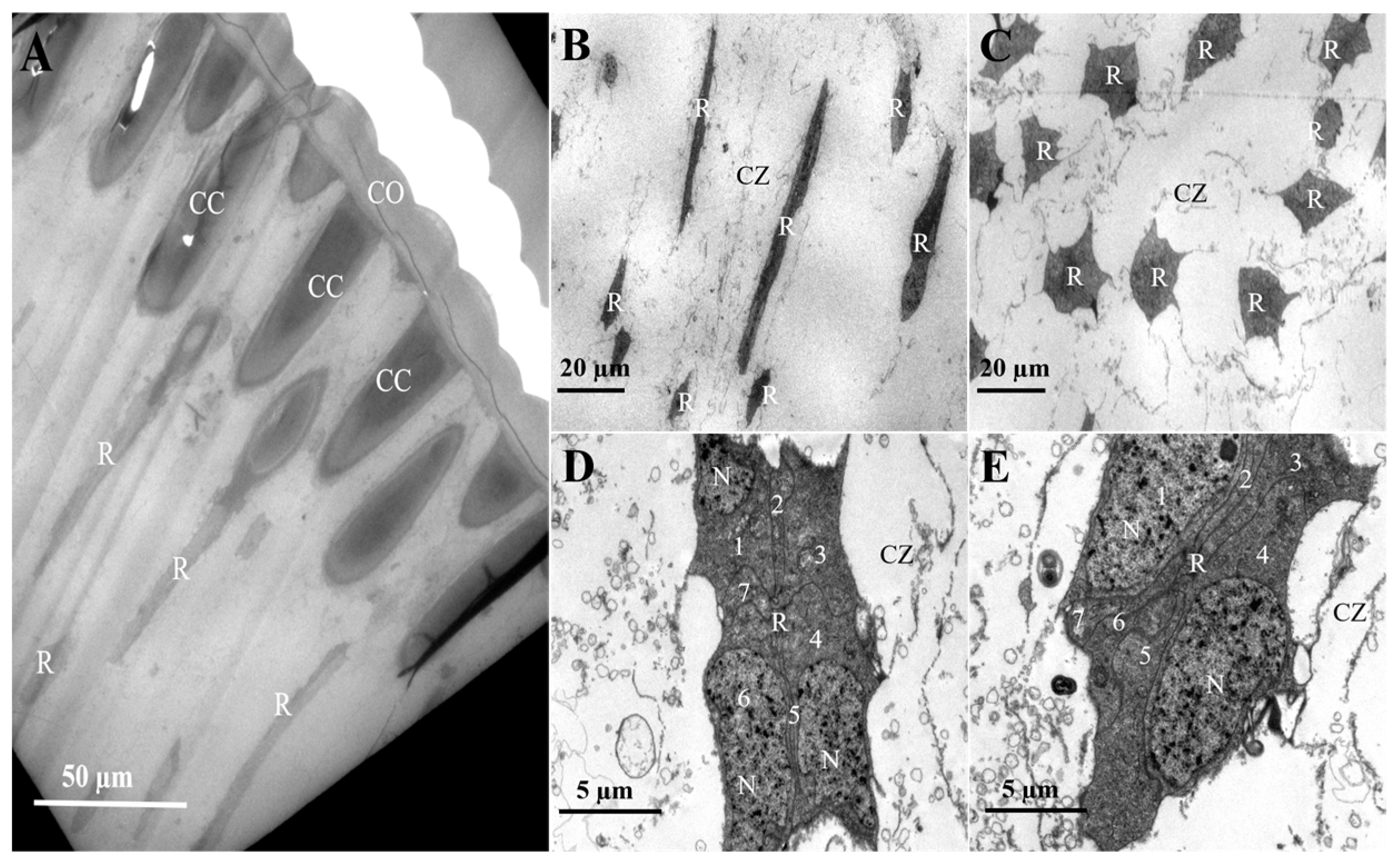 Insects 16 01122 g005 Insects 16 01122 g005