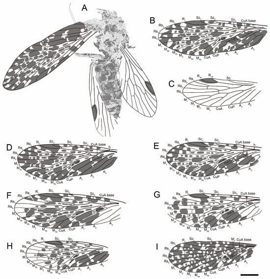 Insects 16 01130 g003