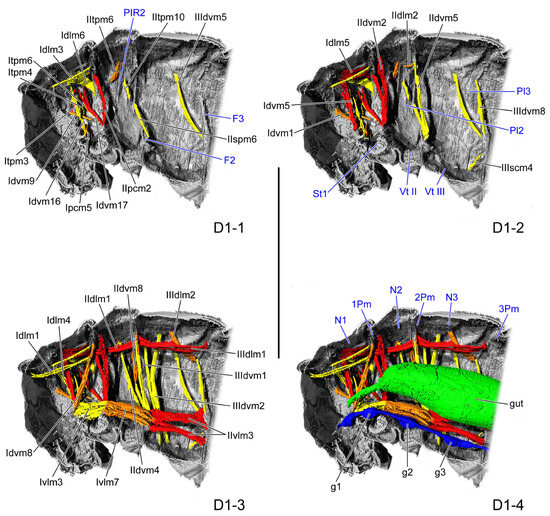 Insects 16 01133 g002