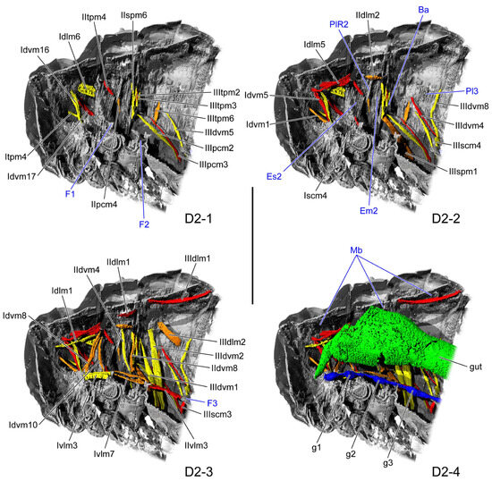 Insects 16 01133 g003