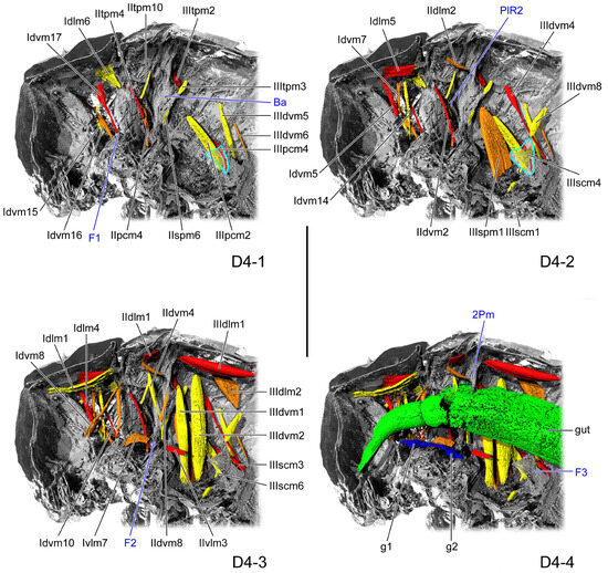 Insects 16 01133 g004