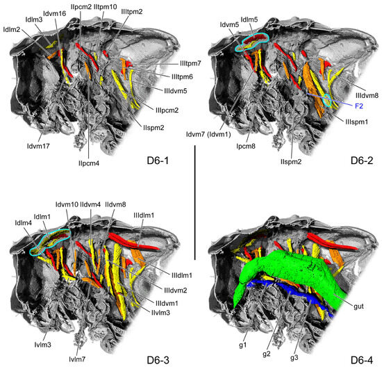 Insects 16 01133 g005