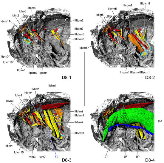 Insects 16 01133 g006