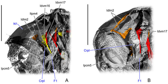 Insects 16 01133 g007