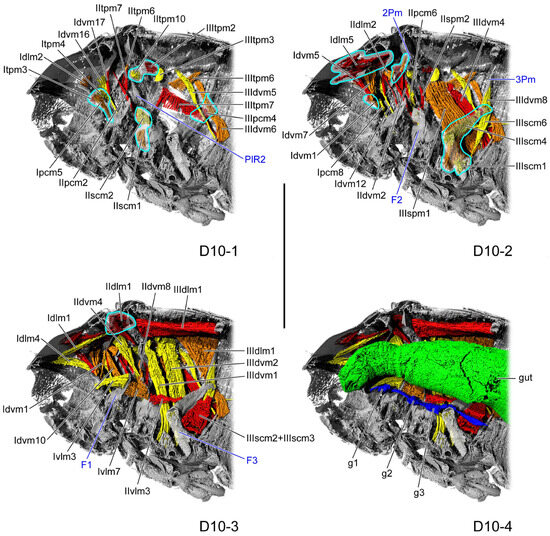 Insects 16 01133 g008