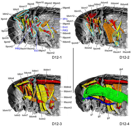 Insects 16 01133 g009