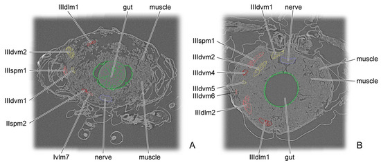 Insects 16 01133 g010