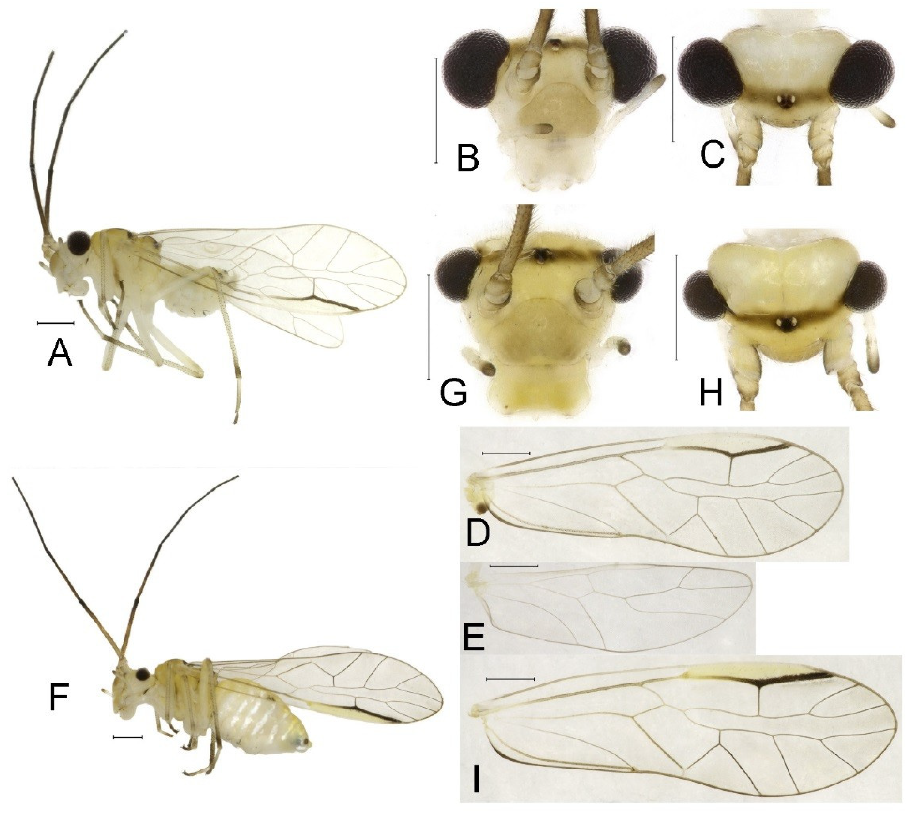 Insects 16 01147 g015