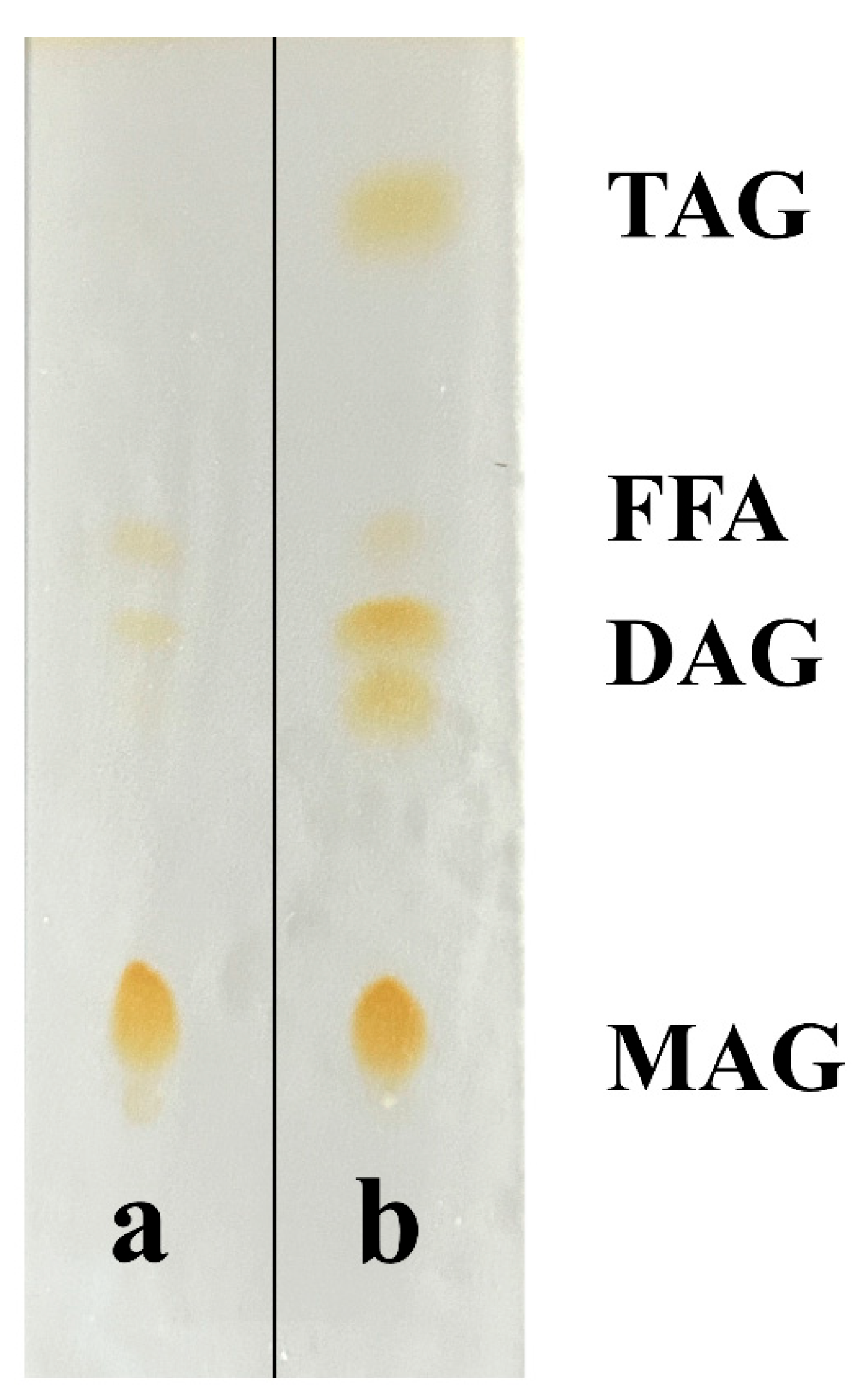 Insects 16 01163 g005