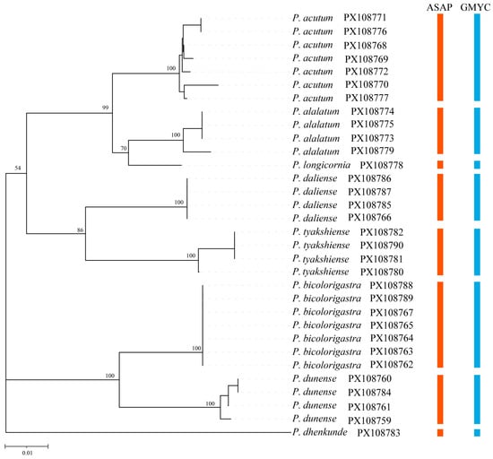 Insects 16 01166 g001