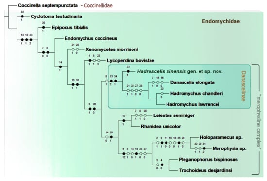 Insects 16 01178 g001