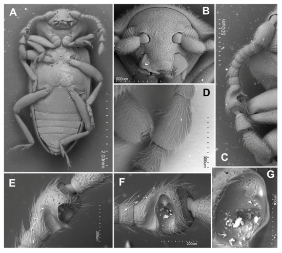 Insects 16 01178 g003