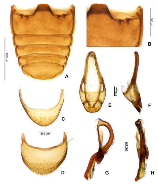 Insects 16 01178 g005