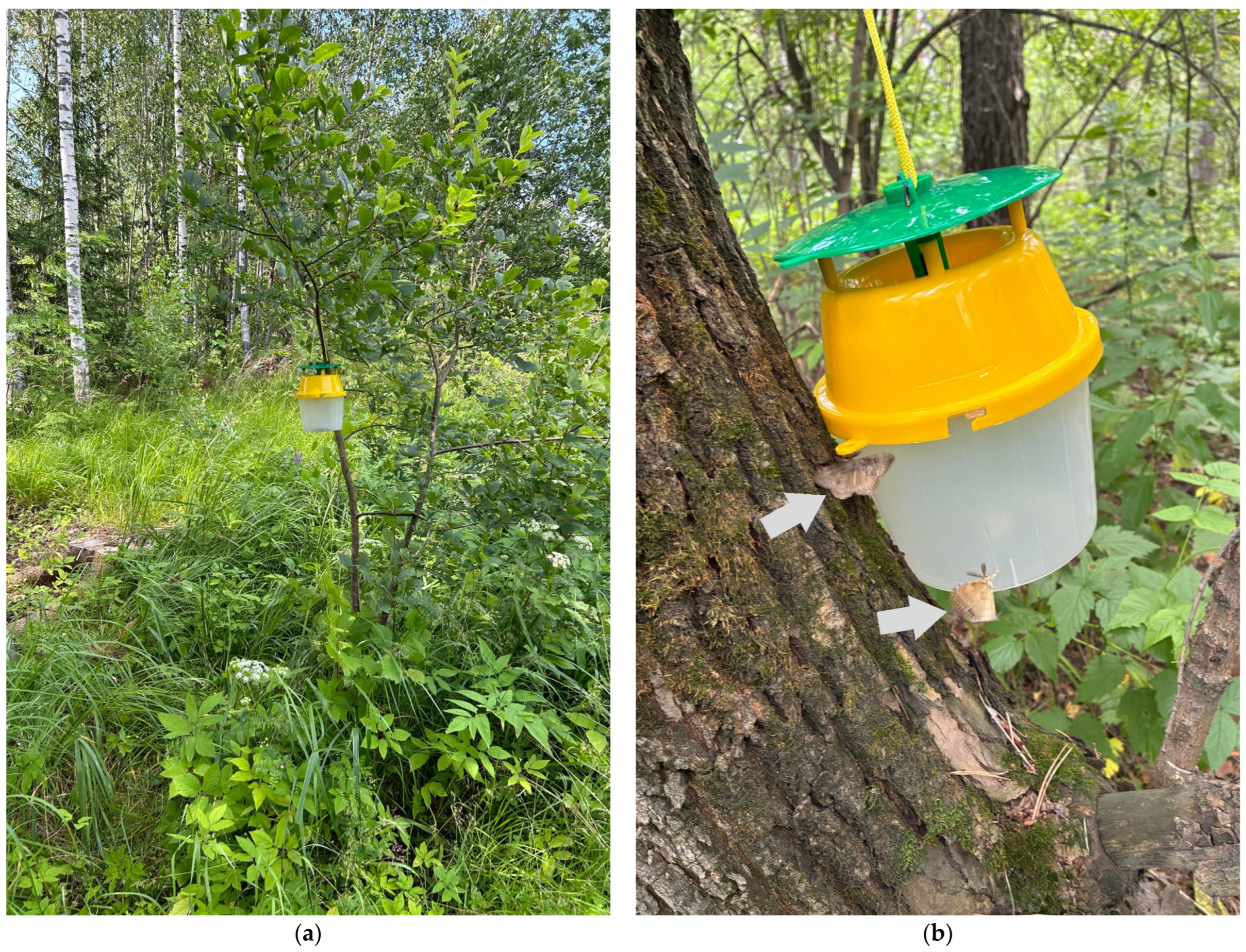 Insects 16 01189 g001