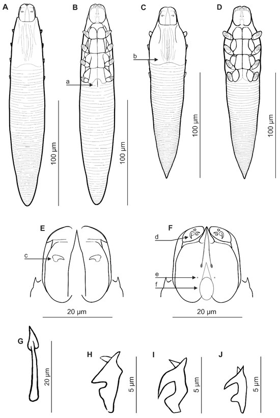 Insects 16 01218 g001