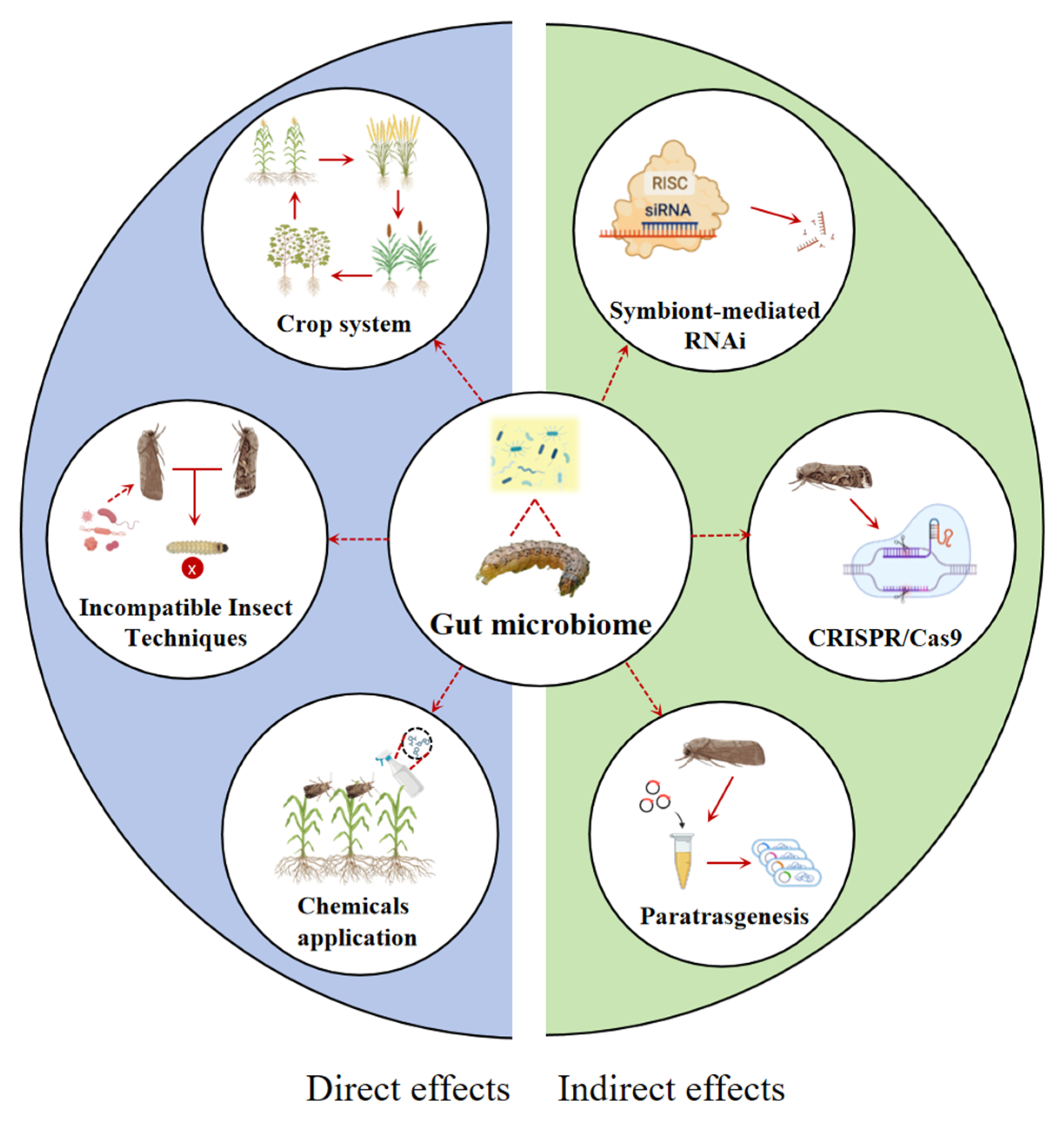 Insects 16 01237 g002