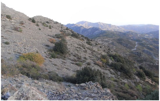 Insects 17 00004 g001