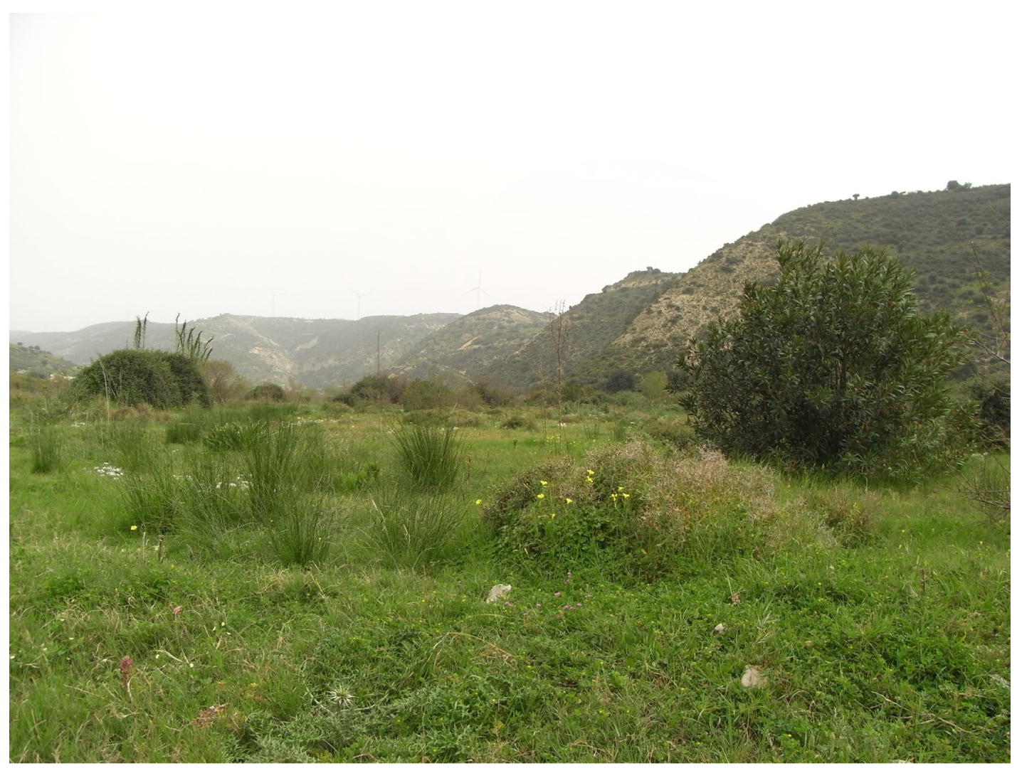 Insects 17 00004 g003