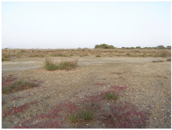 Insects 17 00004 g004