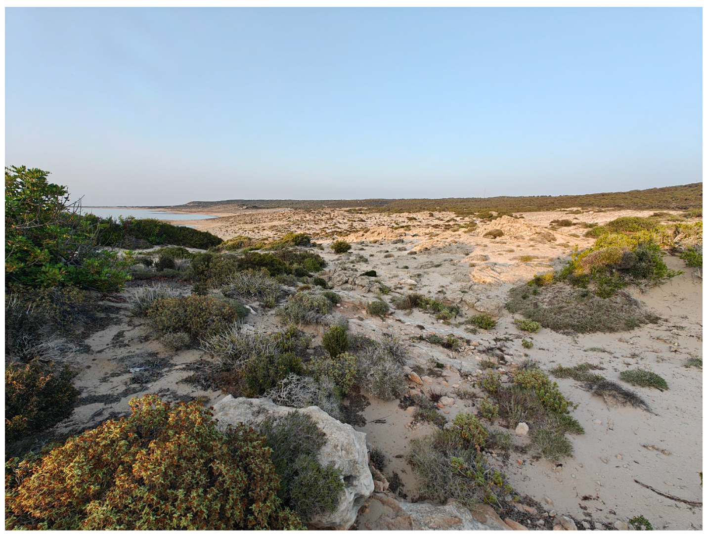 Insects 17 00004 g005