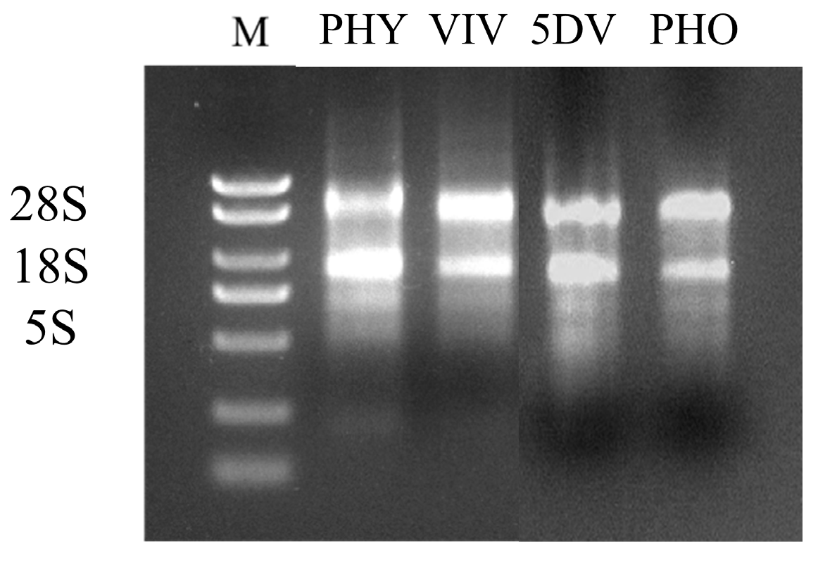 Insects 17 00007 g001 Insects 17 00007 g001