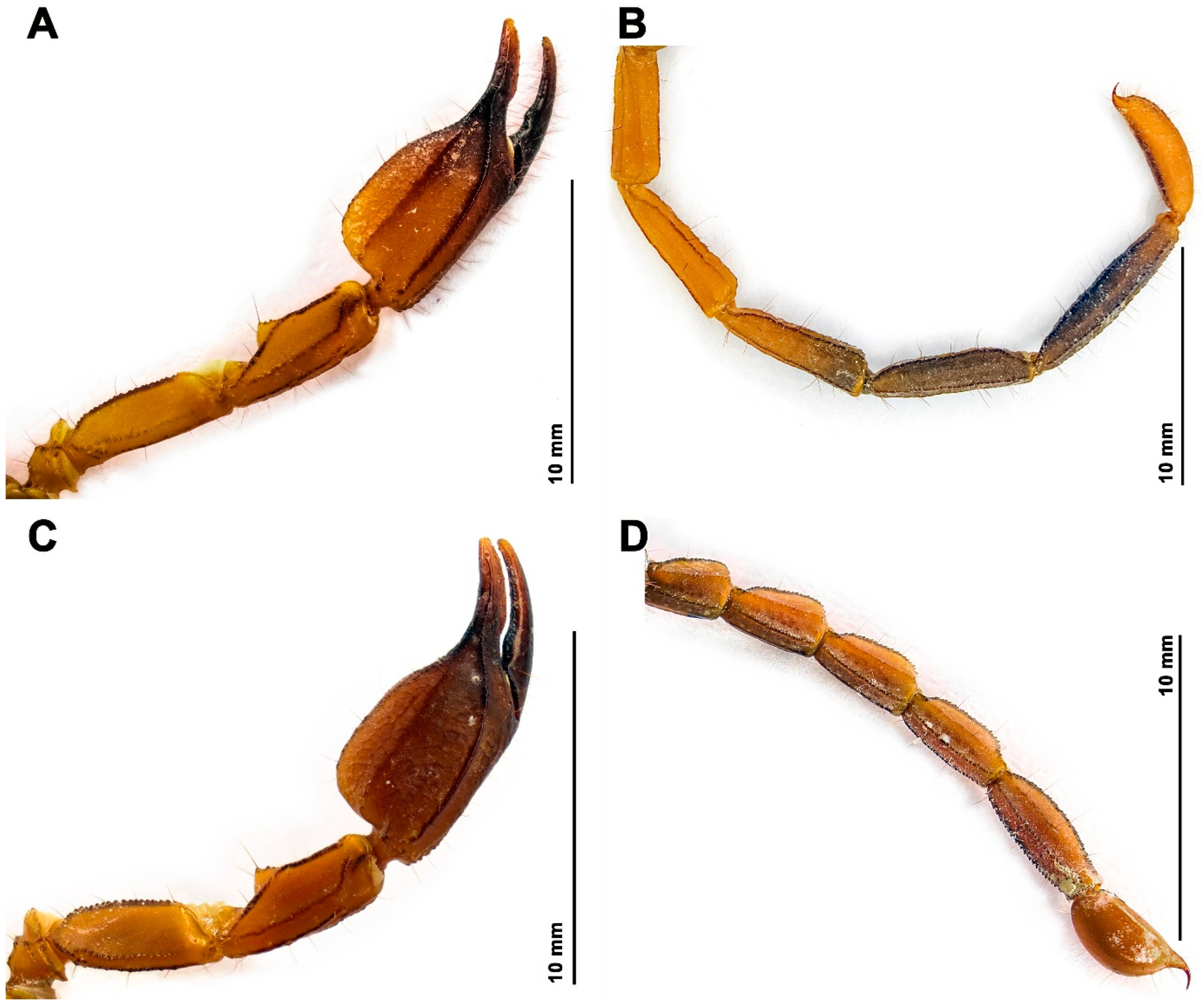 Insects 17 00018 g009