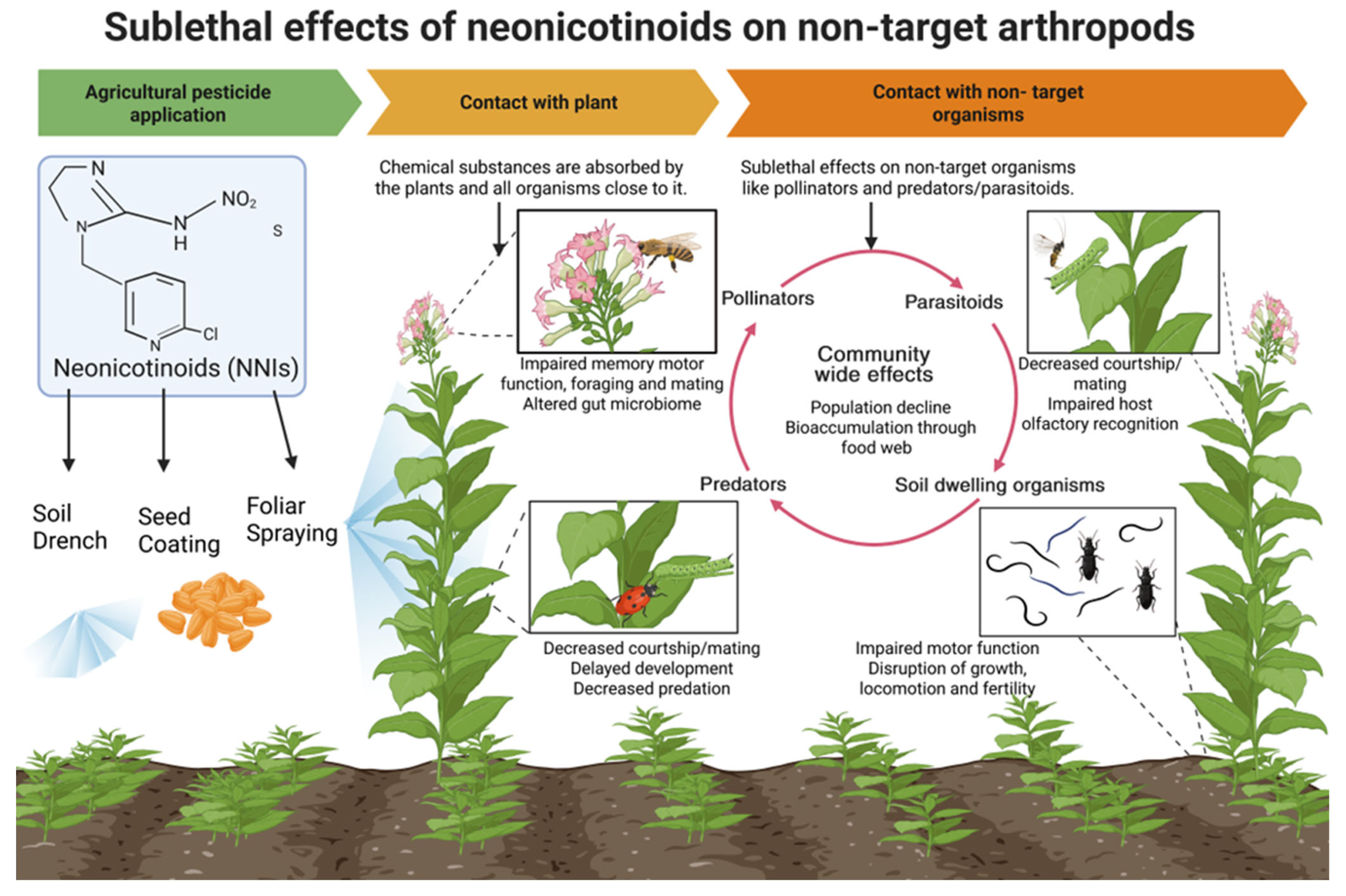 Insects 17 00026 g001 Insects 17 00026 g001