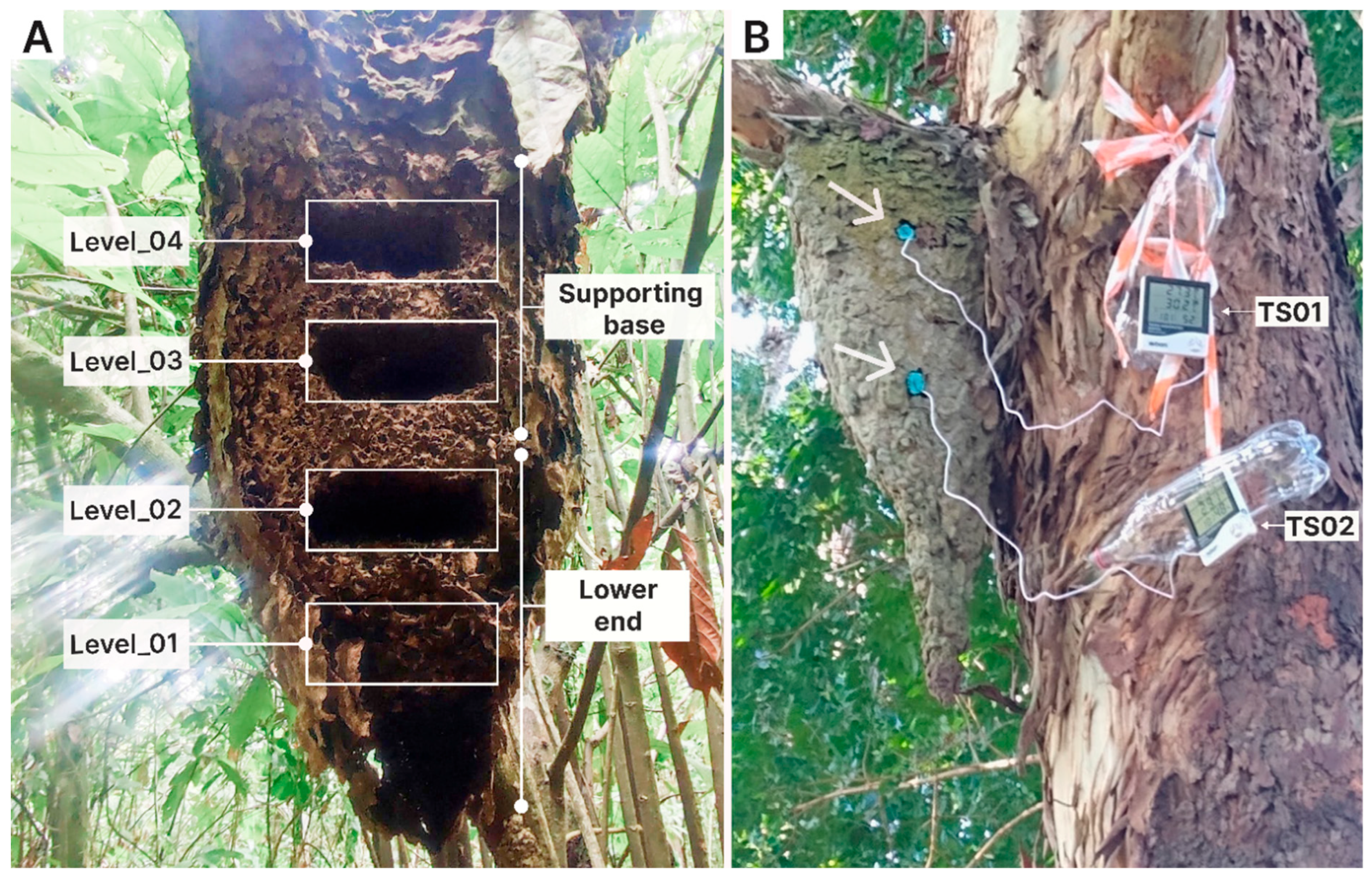 Insects 17 00032 g002 Insects 17 00032 g002