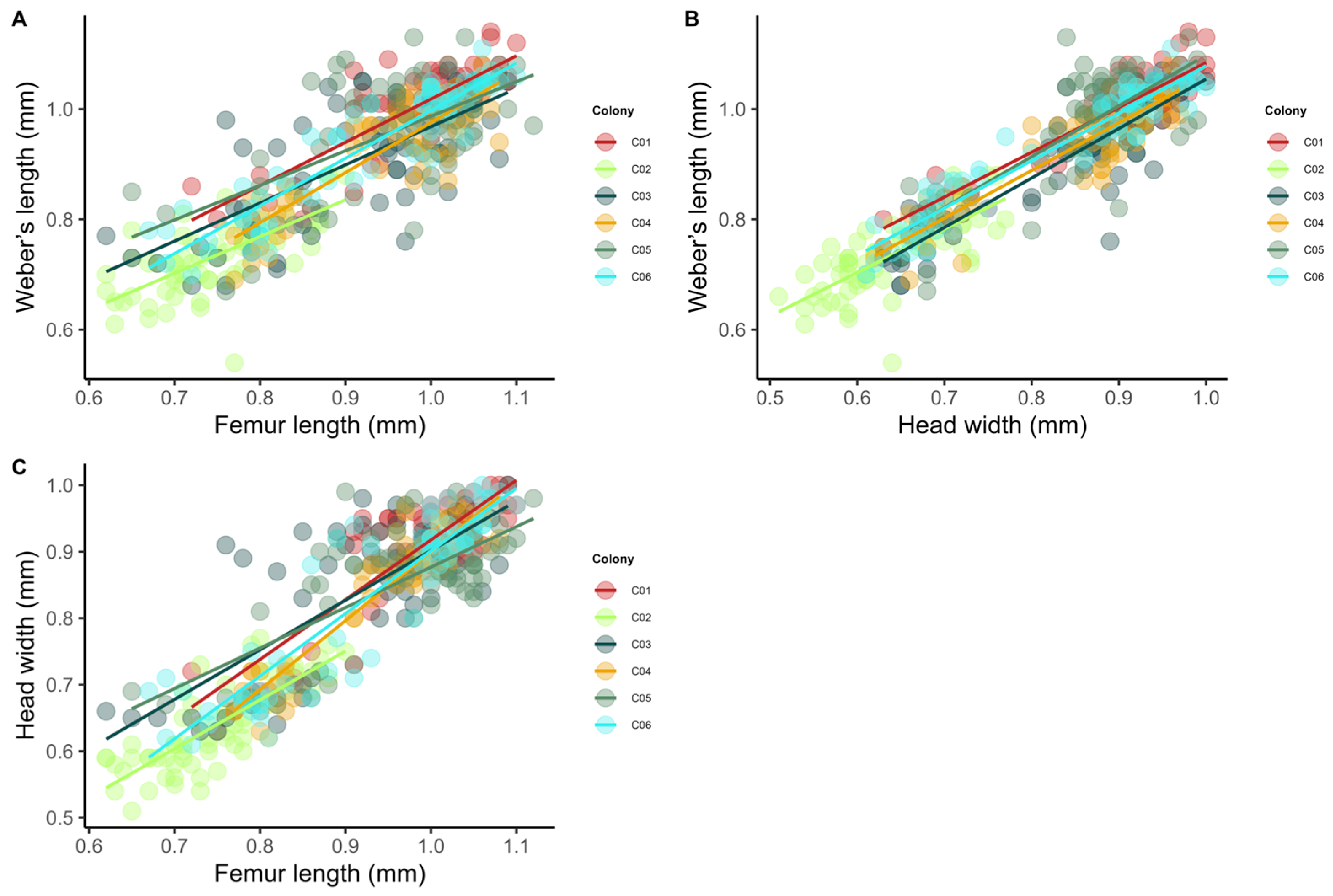 Insects 17 00032 g006 Insects 17 00032 g006