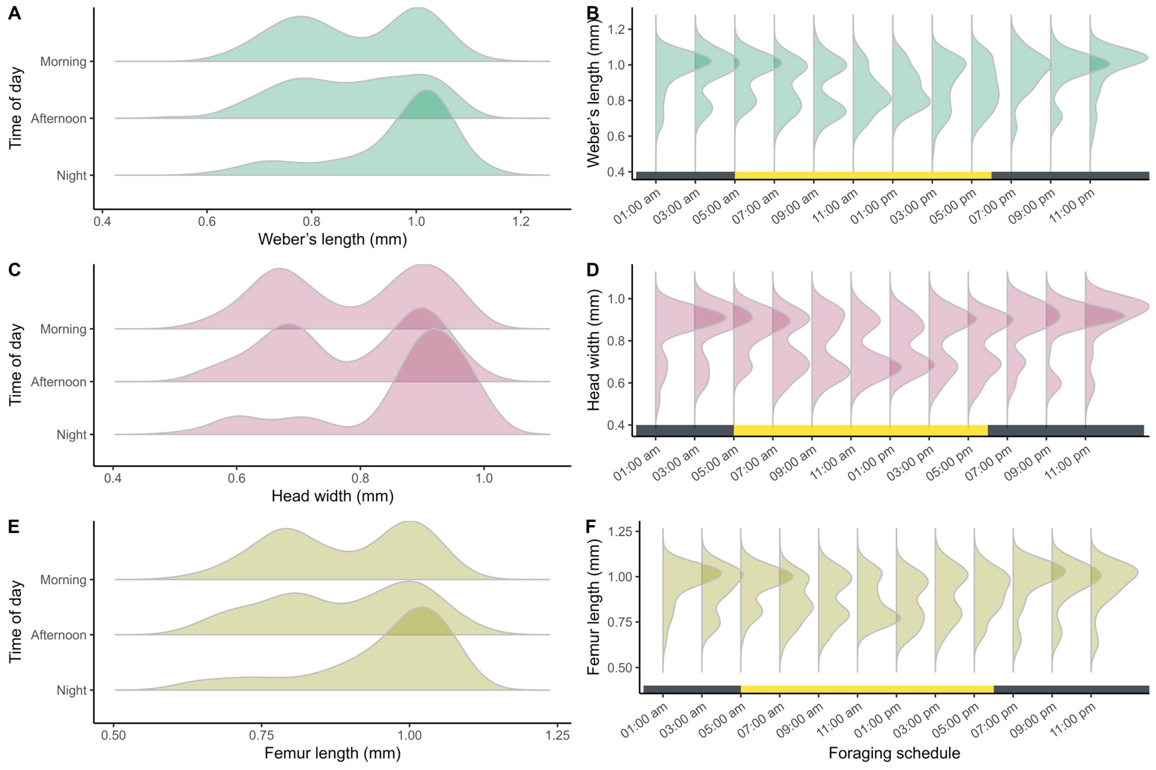 Insects 17 00032 g007 Insects 17 00032 g007