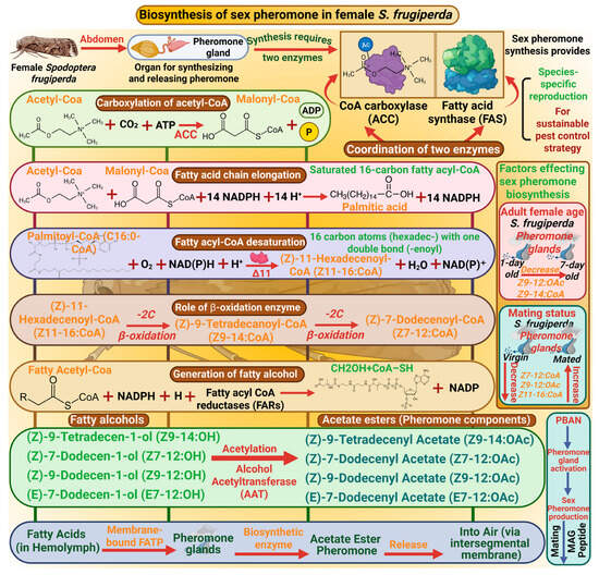 Insects 17 00035 g001
