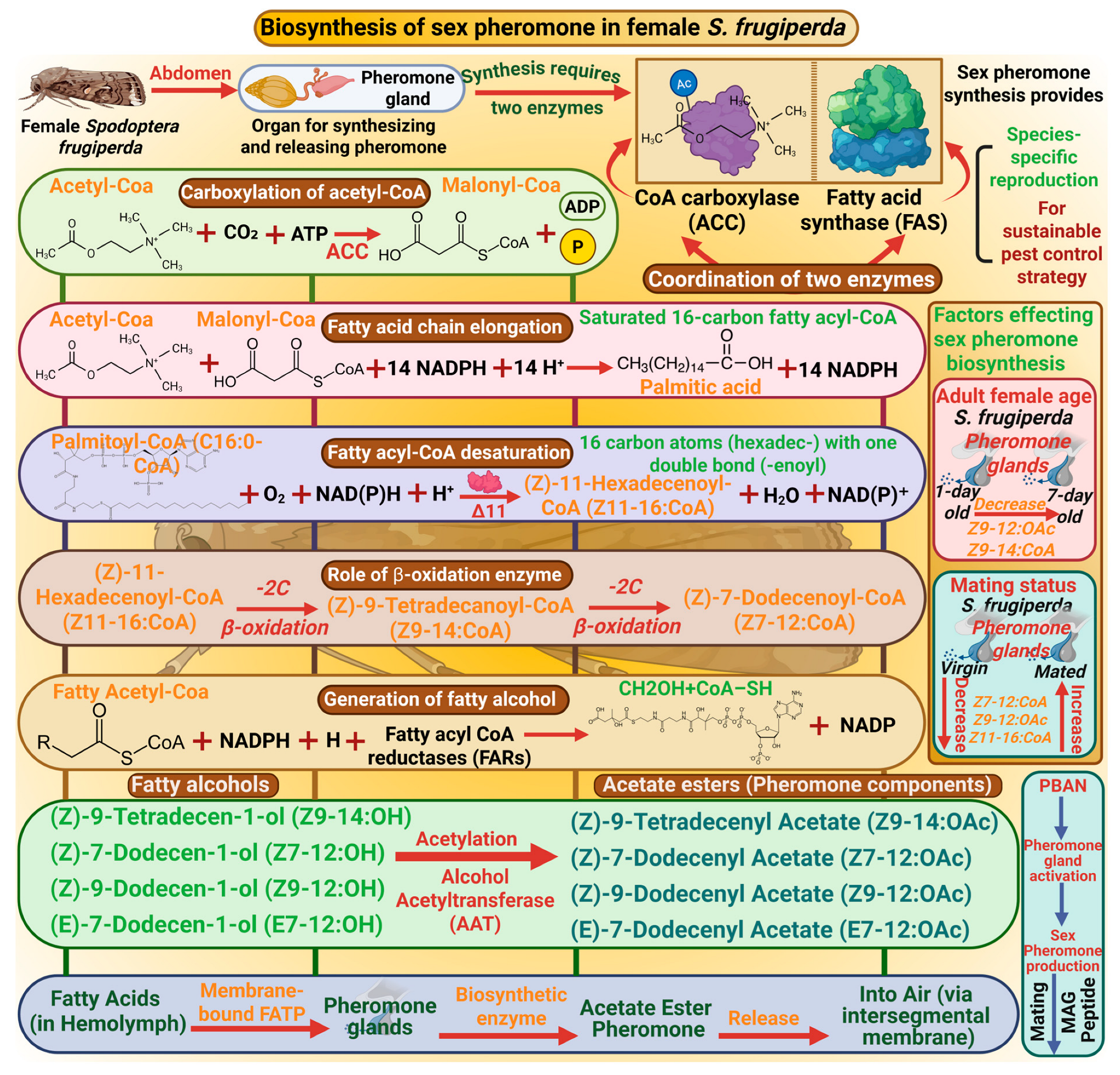 Insects 17 00035 g001