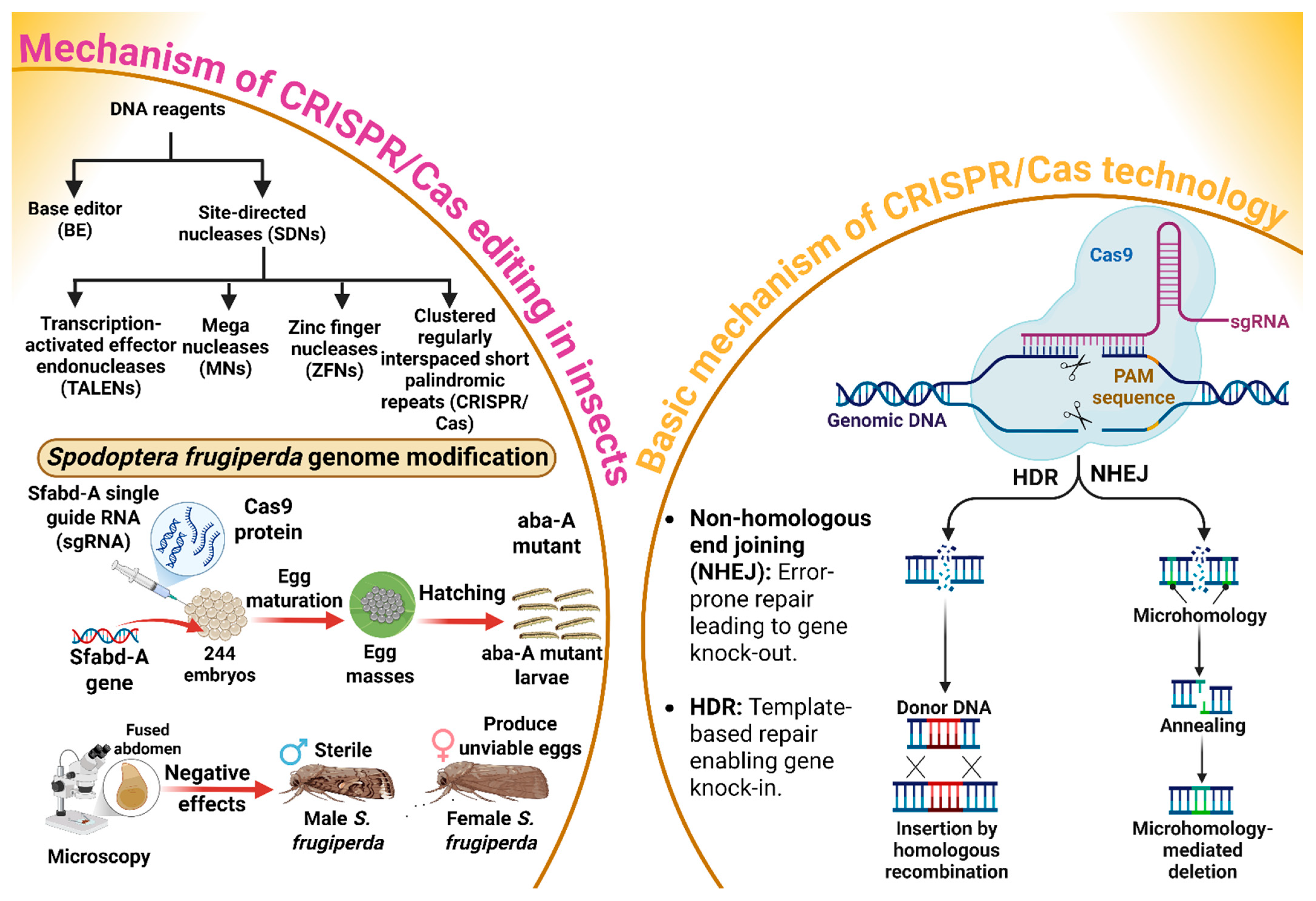 Insects 17 00035 g003