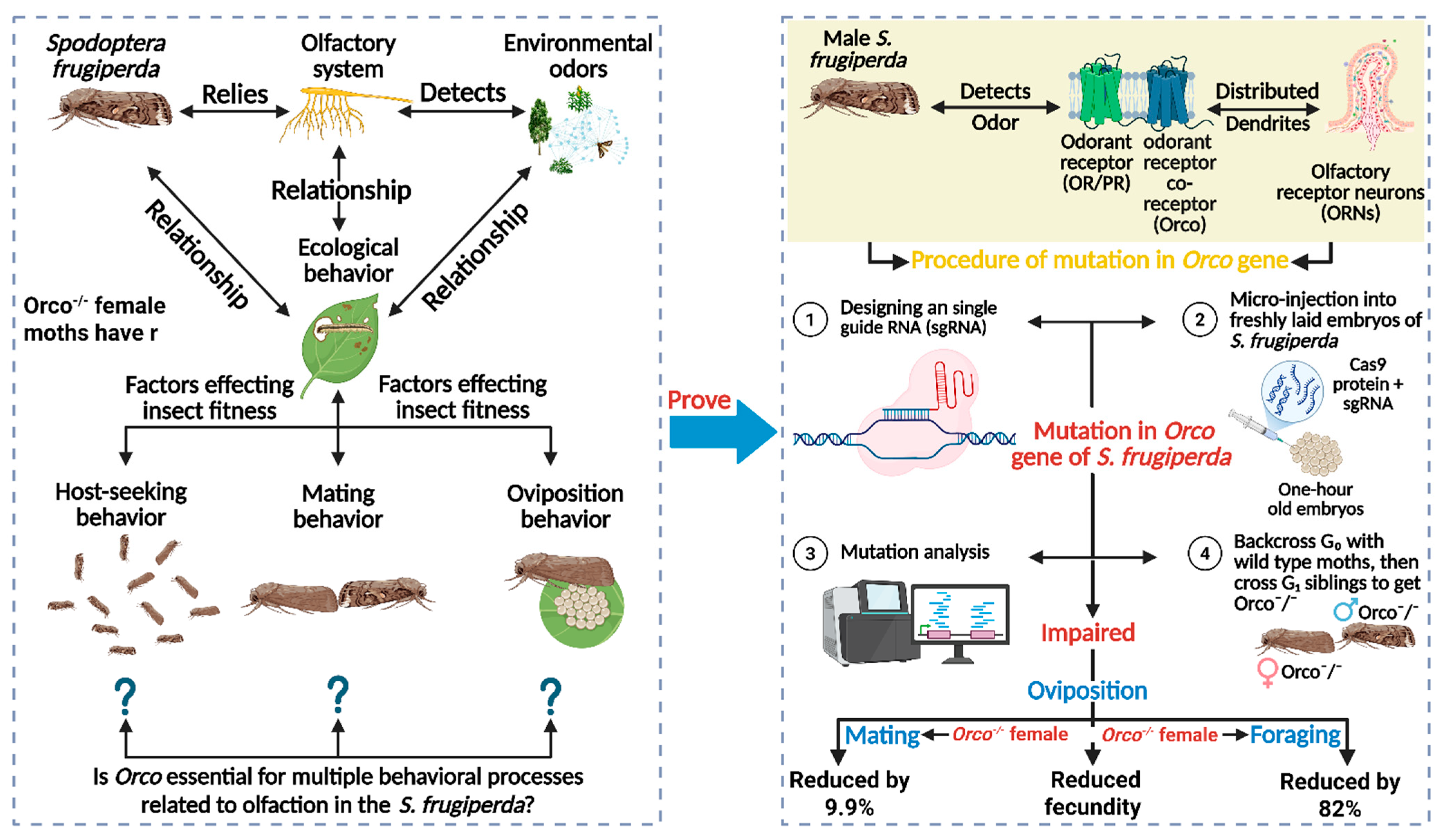 Insects 17 00035 g005