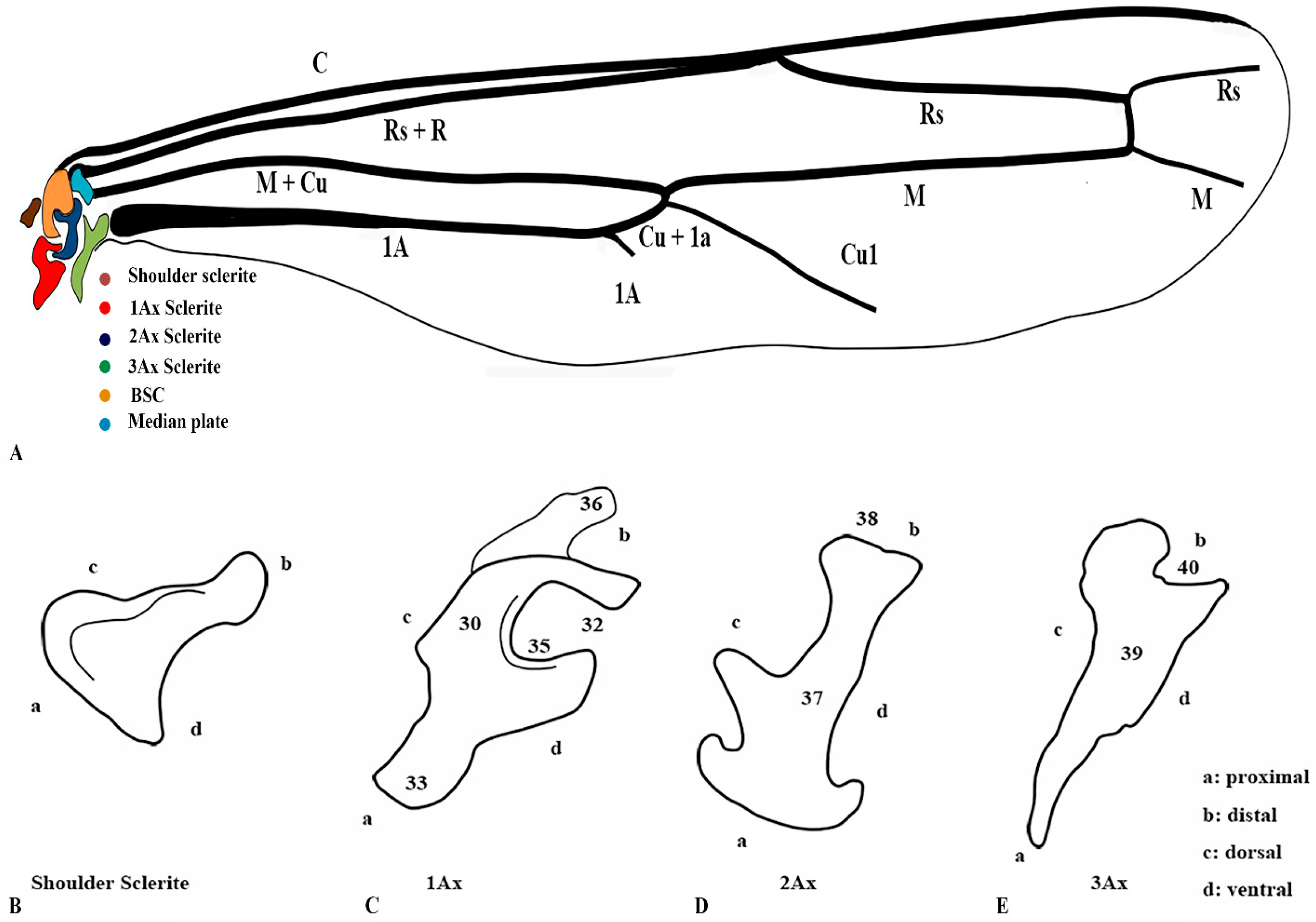 Insects 17 00039 g002
