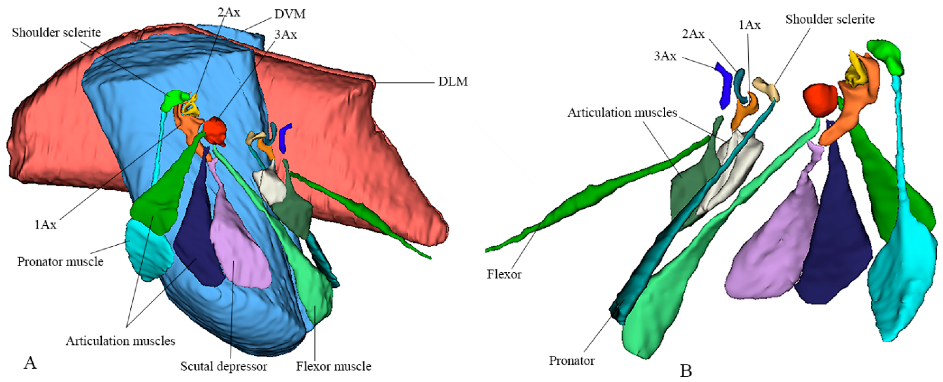 Insects 17 00039 g003