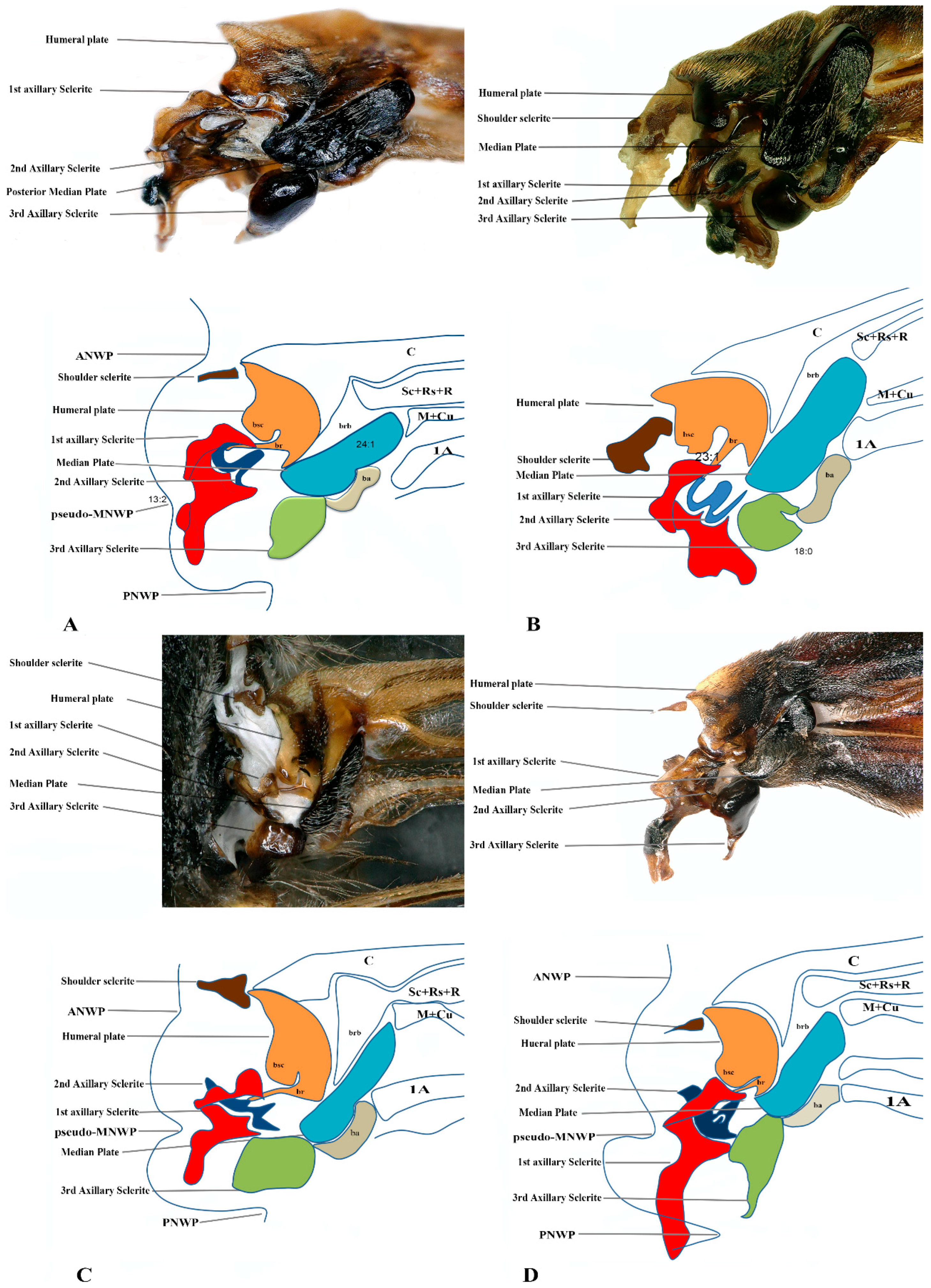 Insects 17 00039 g004