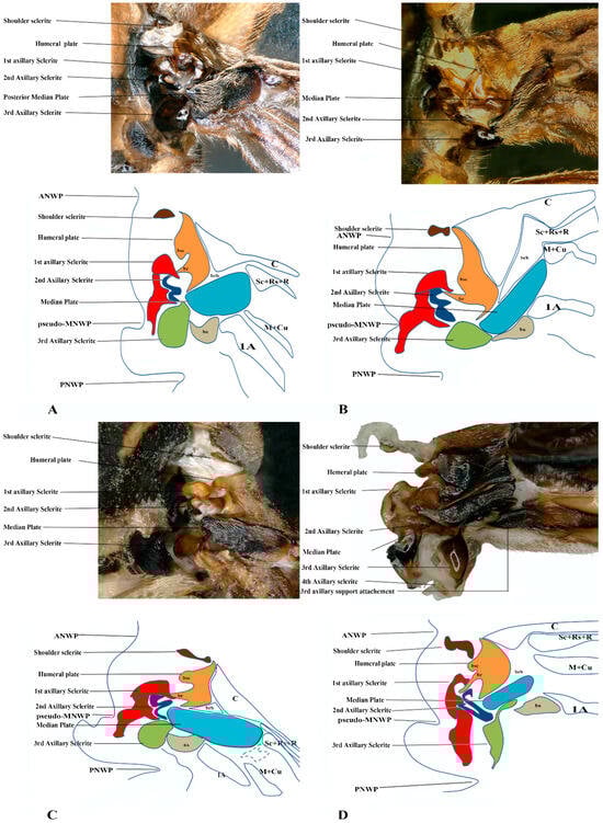 Insects 17 00039 g005