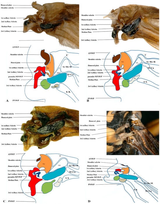 Insects 17 00039 g006