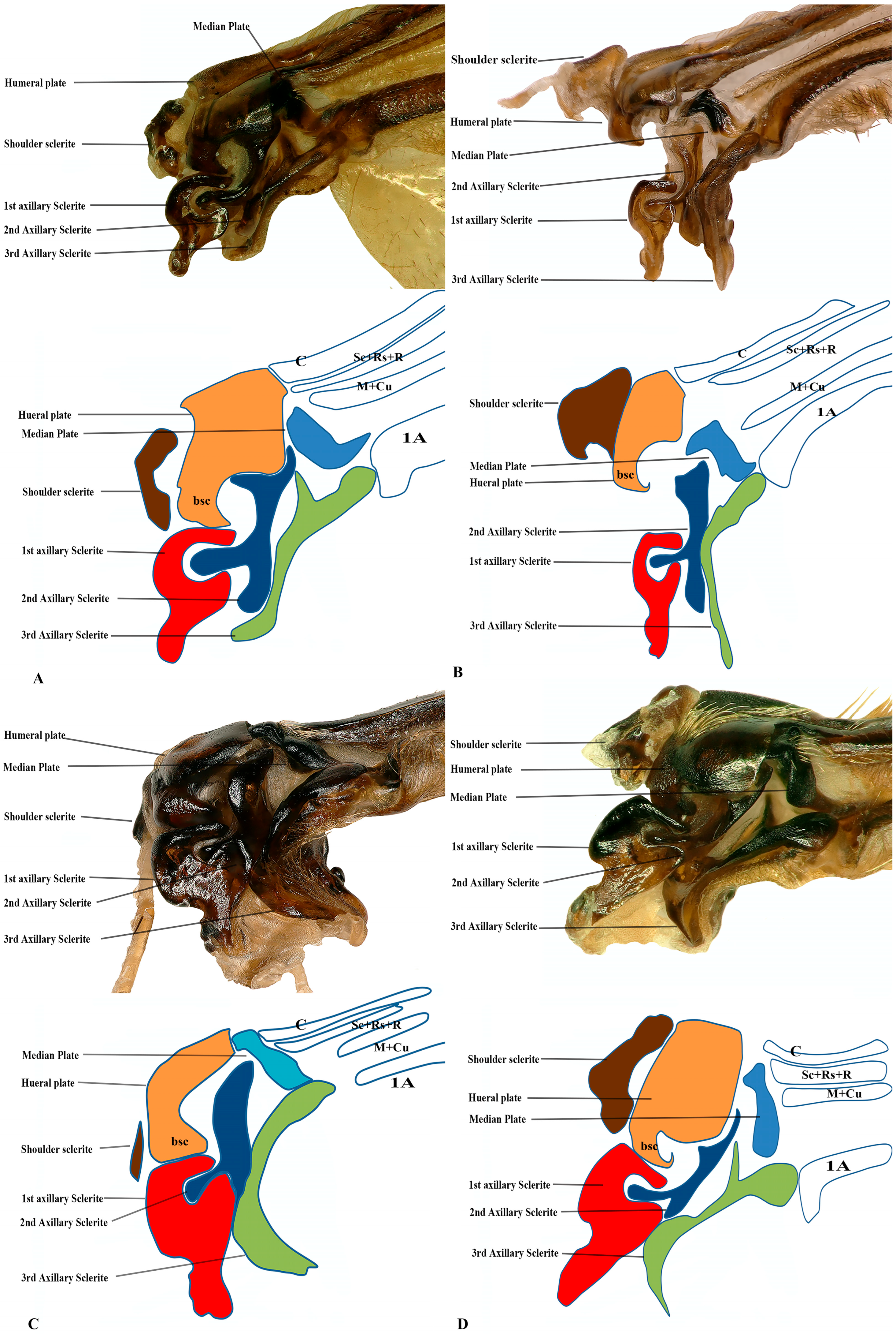 Insects 17 00039 g007