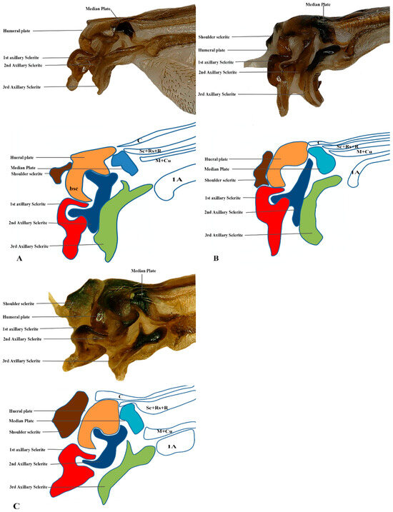 Insects 17 00039 g008