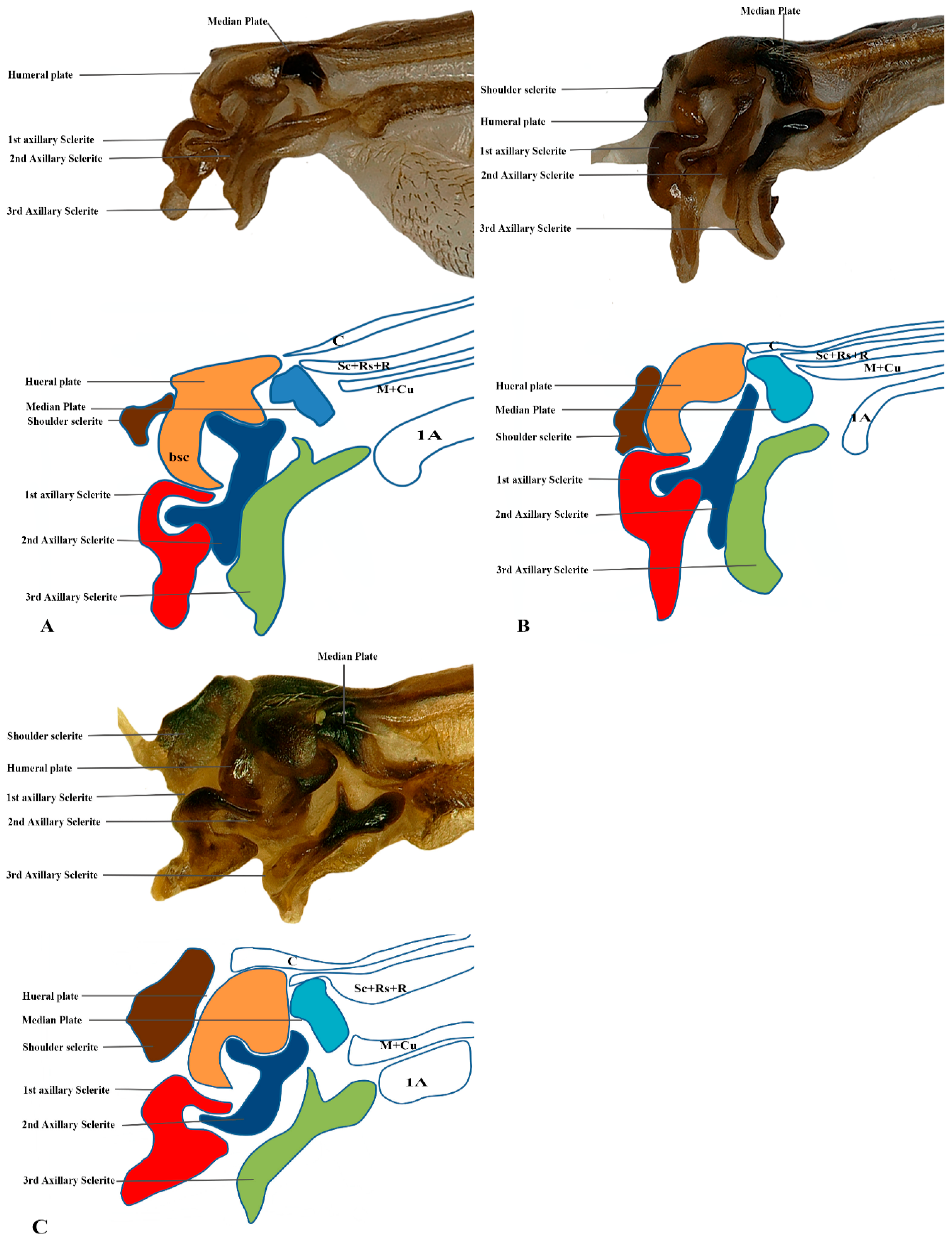 Insects 17 00039 g008